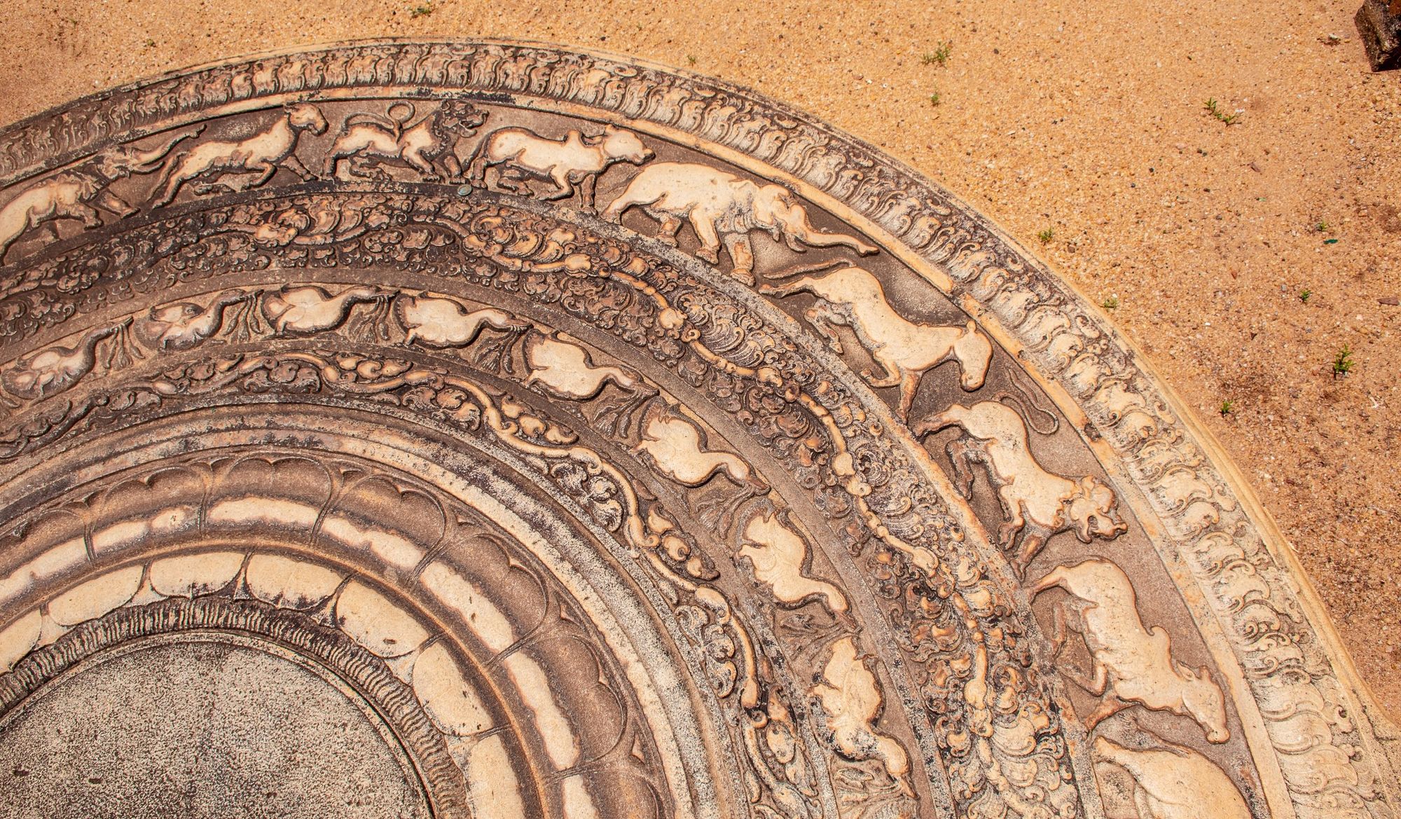 A carved moonstone, a half-circle stone with rings of animals and swans, at the foot of temple steps