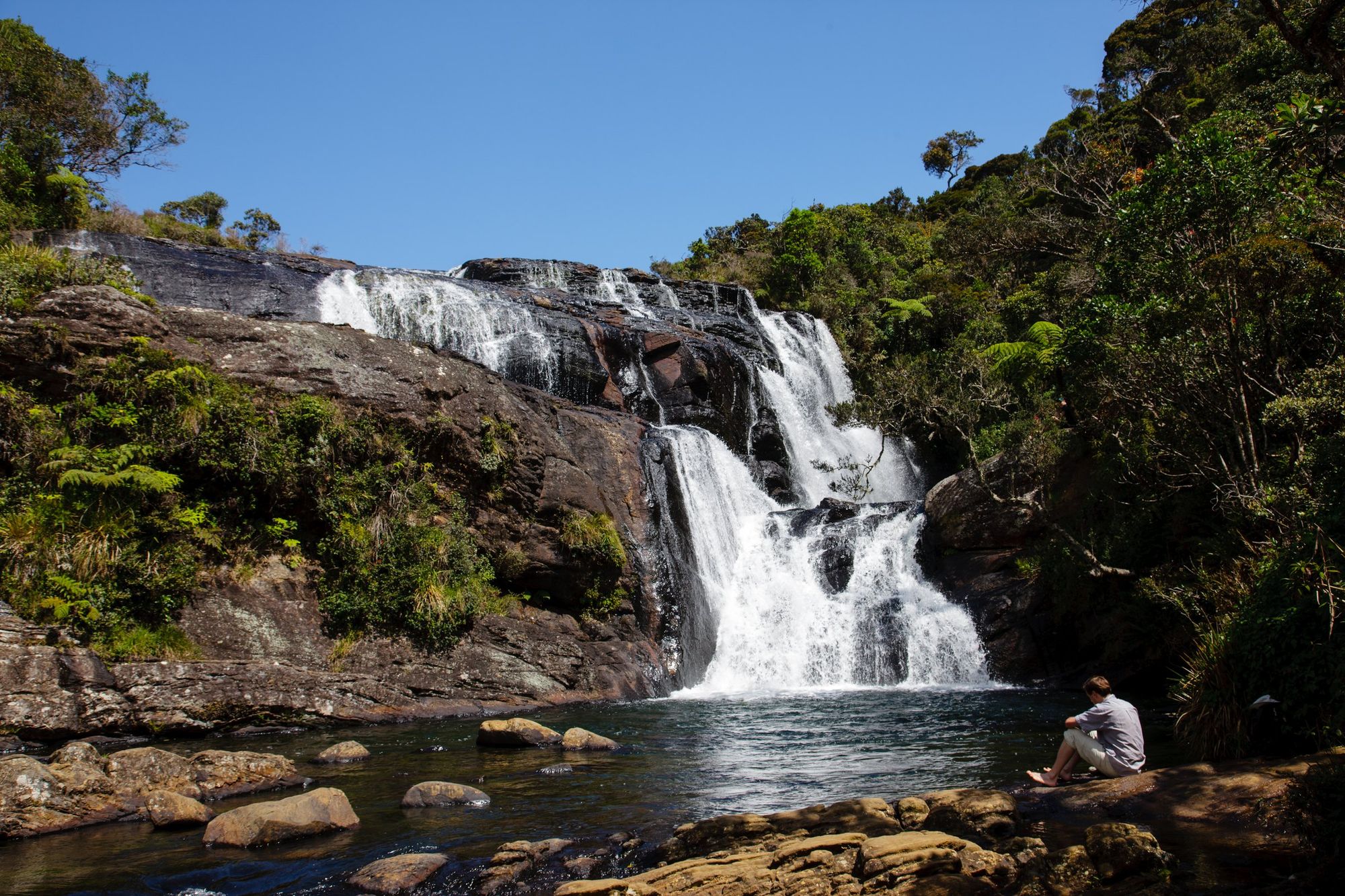 Baker's Falls tumbling over rocks in the forest at Horton Plains