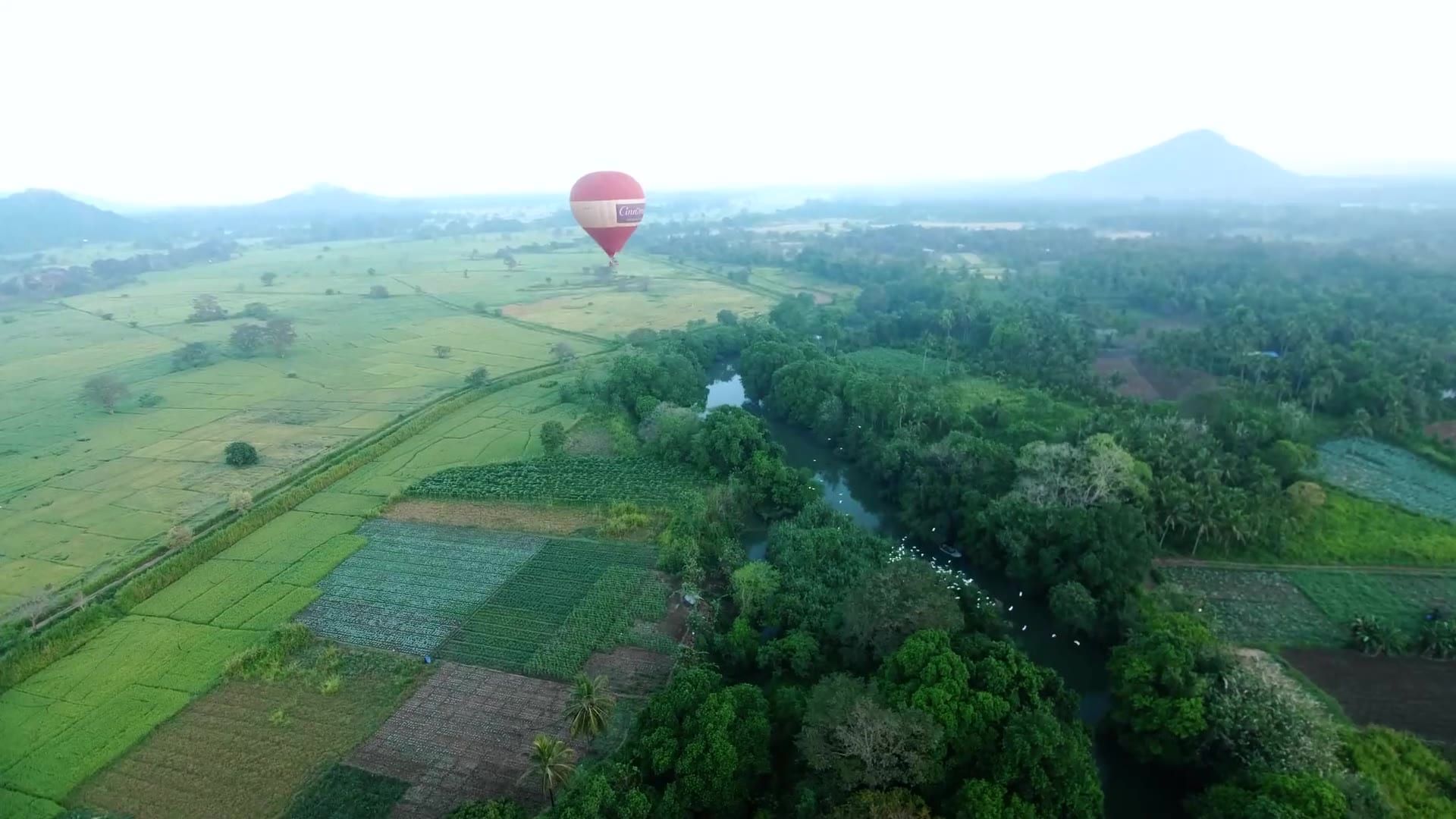 A hot-air balloon over green paddy fields and forest