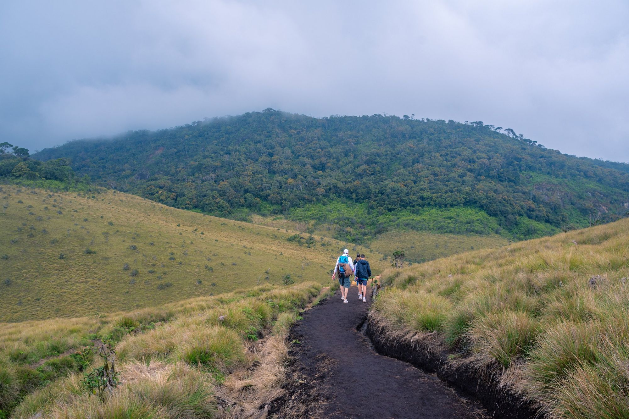 Two hikers on the Horton Plains trail through grassland in mist