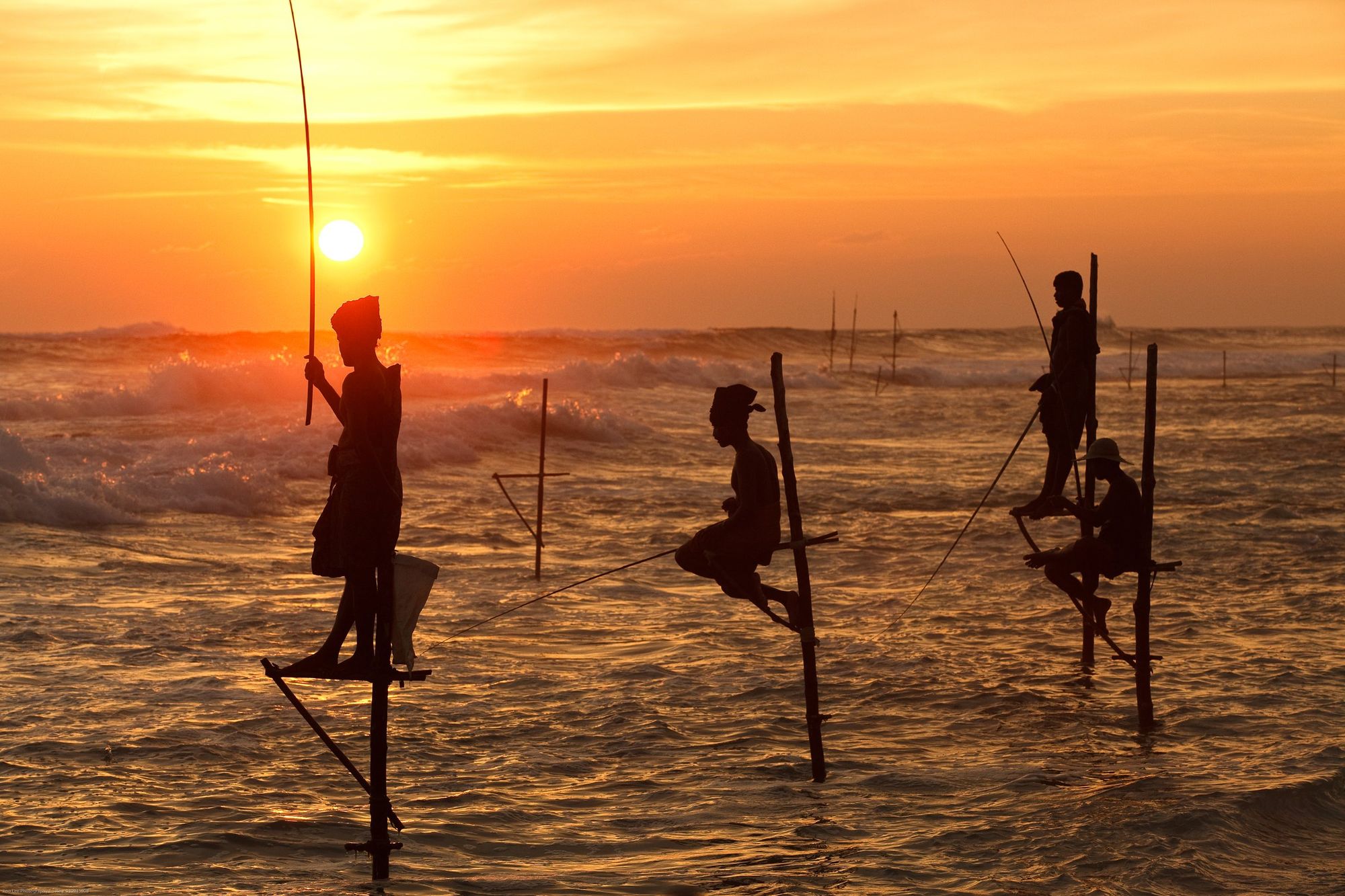 Stilt fishermen perched on poles in the surf at Koggala, silhouetted against an orange sunset