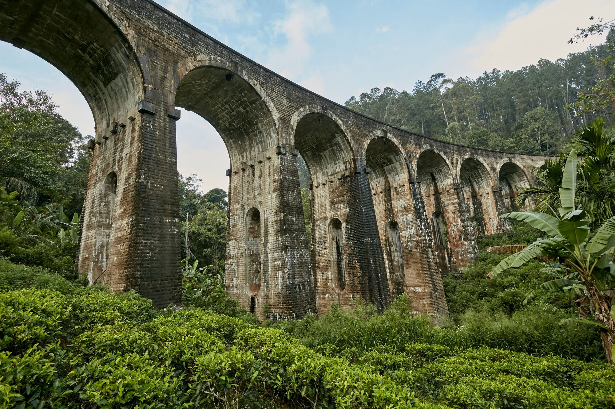 The stone arches of the Nine Arch Bridge near Ella, curving above tea bushes and forest