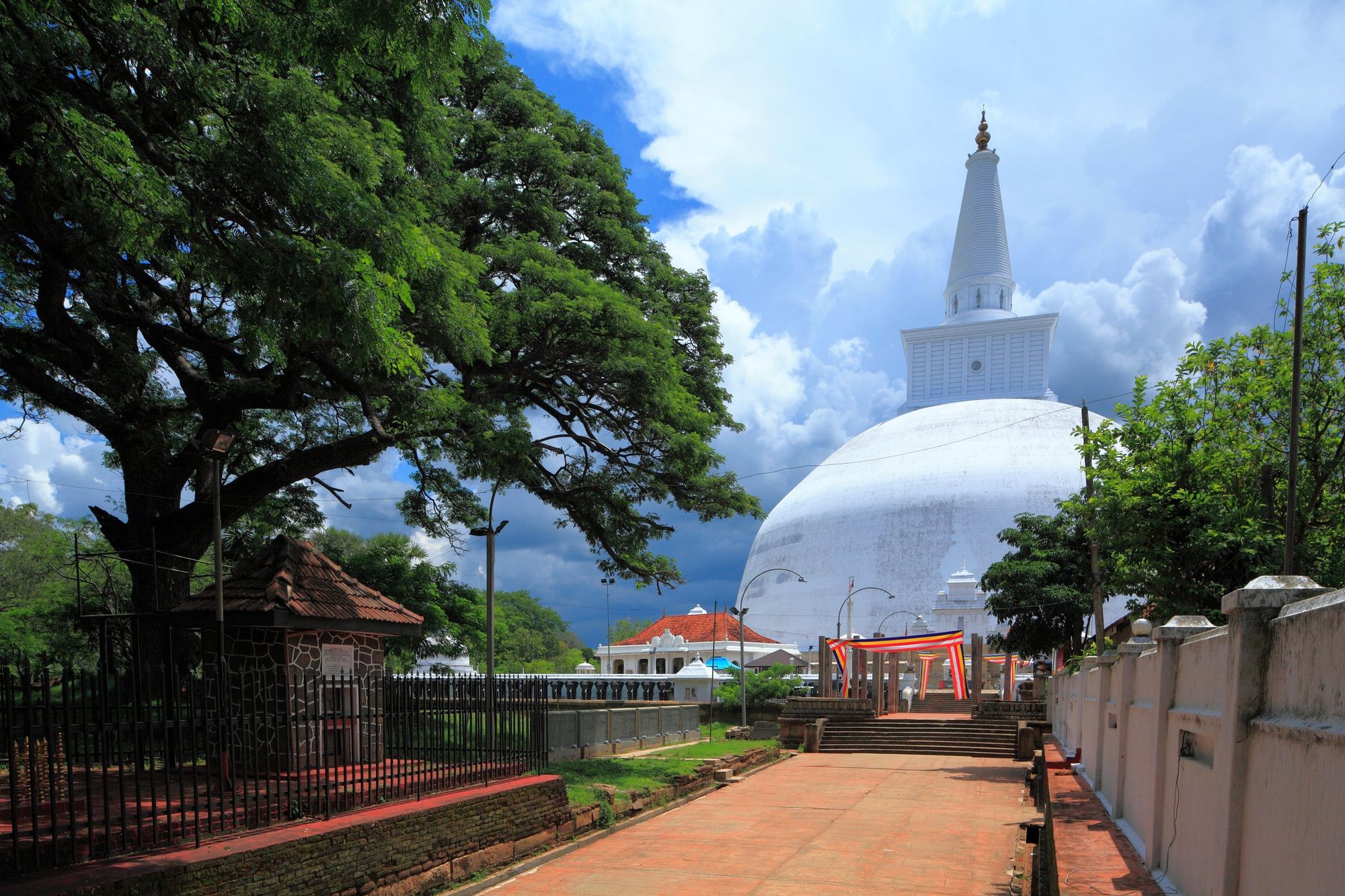 The white dome of Ruwanweli Seya in Anuradhapura, seen from a path lined with trees