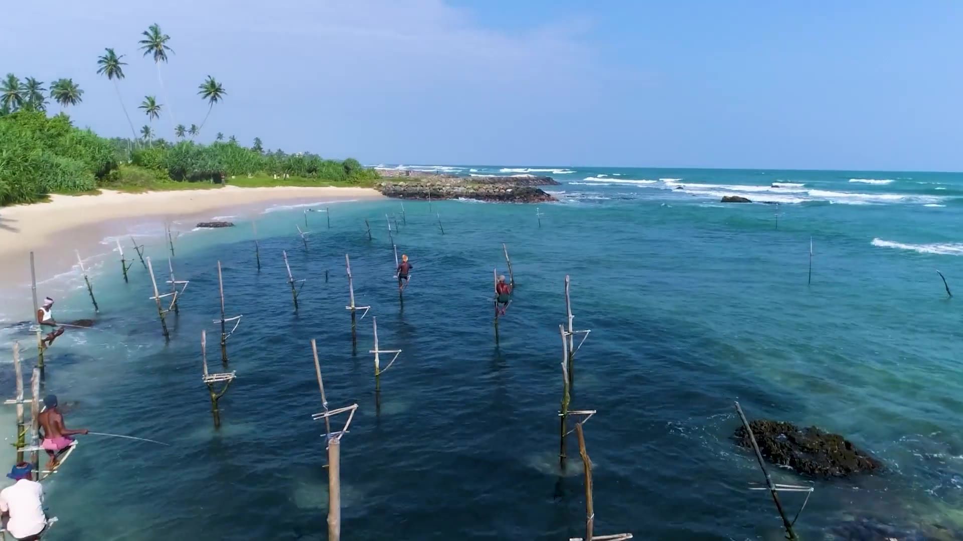 Stilt fishermen on their poles in turquoise water off a palm-lined beach, from the air