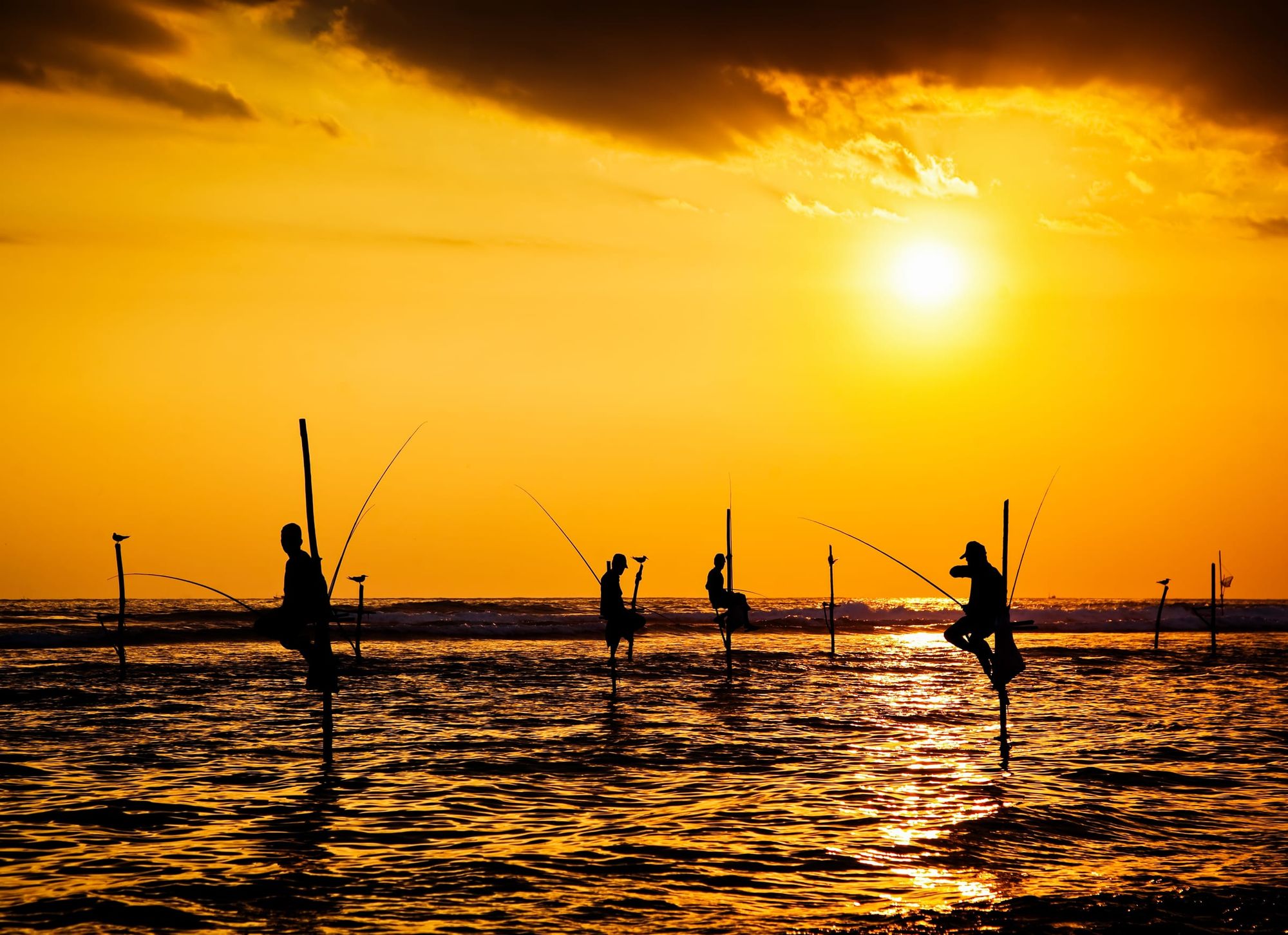 Stilt fishermen silhouetted on their poles against an orange sunset sea